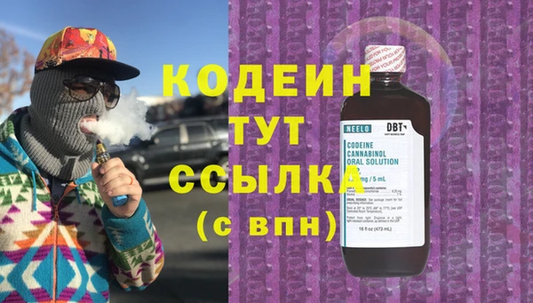 индика Долгопрудный
