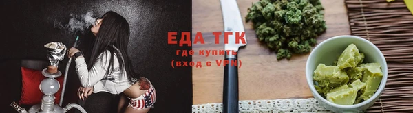 индика Долгопрудный
