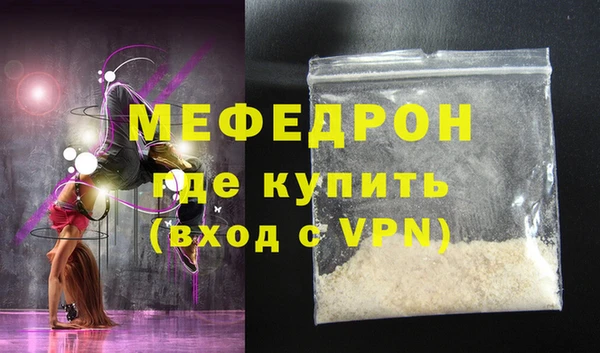 индика Долгопрудный