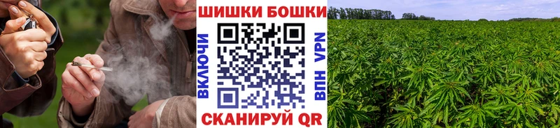 Шишки марихуана THC 21%  сколько стоит  блэк спрут рабочий сайт  Рыльск 